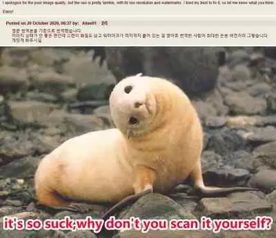 (C90) [Tendou (Tenken)] Ninkatsu Taigei (Kantai Collection -KanColle-)