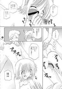 (C62) [Takanaedoko (Takanae Kyourin)] Orange Mystery (One Piece)