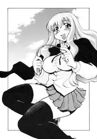 [Studio Wallaby (Nagisa Minami)] Zero no Sannin (Zero no Tsukaima)