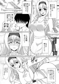 [Neko to Hato (Hatoya Mameshichi)] Kioku o Naku Shita Cecilia to Char ga Ore no Heya ni Korogarikon de Kita Ken Kanzenban (IS <Infinite Stratos>) [Digital]