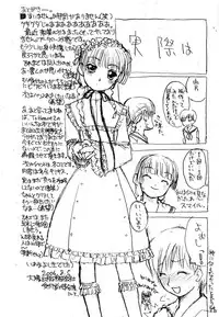 (C70) [Shinobi no Yakata (Iwama Yoshiki)] JEWELBOX PEACHWHITE SISTER RAPED (Various)