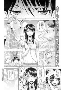 COMIC Megastore-H 2010-11