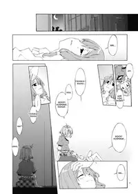 (C73) [PERSONAL COLOR (Sakuraba Yuuki)] Junsuiritsu wo Sukoshi Dake Agete. (Touhou Project) [English] [Wings of Yuri]