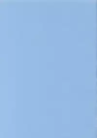 (C63) [NO-ZUI (Kanesada Keishi)] MILZ