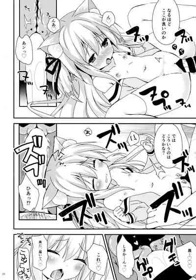 Himitsu no Ecchi Ecchi Daikaishuu