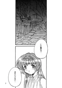 (C54) [Walnut Shop (Sakatsu Kurumi)] Cubic (Record of Lodoss War)