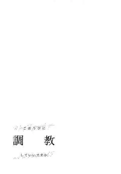 Gohoubi ni Choukyou Shite Ii Desu ka