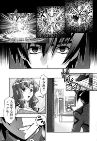 (CR35) [Sanryuu Club (Suzuki Ganma, Suzuki Kimchi)] Okadu Hatake (Gundam SEED)