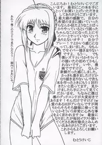 (C68) [STUDIO TRIUMPH (Mutou Keiji)] Astral Bout ver. 9 (Fate/stay night)