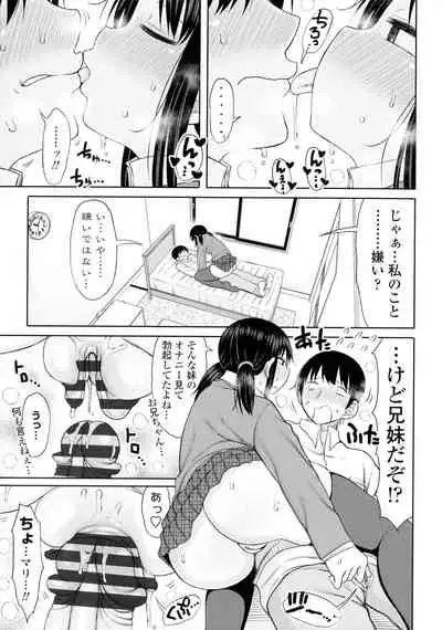 Obaman Aneman Harem