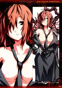 Dies irae Visual Fanbook - Red Book (Resale Version)