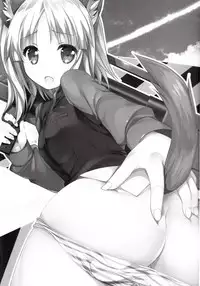 (C91) [Gin no Hoshitei (Tamiya Akito)] Rosemann Sensei de Test Flight (Brave Witches)