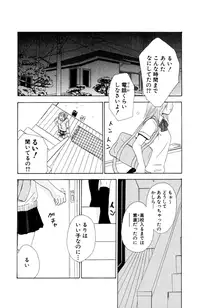 Darenimo Ienai Maru himitsu + vol.12 Forbidden Love