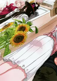 Fate Lewd Order