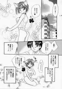 [Ishihara Kaori] ANGÉLIQUE