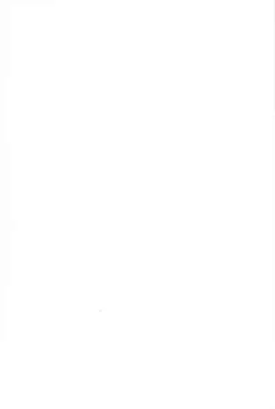 Mugen-sama, Dou ka Otawamure o