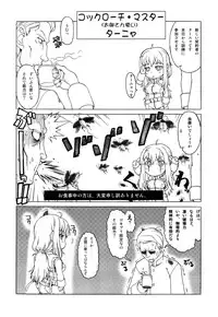 (C77) [Shuudan Bouryoku, Hooliganism (Various)] Hyaburihinfoo (Darker Than Black)