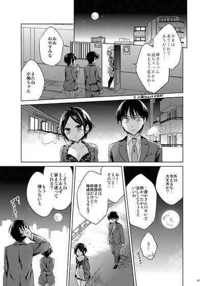 Hayami Kanade Soushuuhen 2014-15 『Black Cinderella』