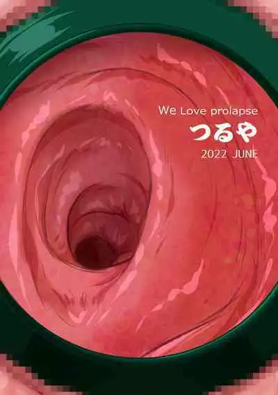 INSIDES - Onnanoko no Nakami Marumie Mook