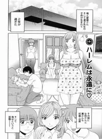 [Kawamori Misaki] Gokuraku Ladies Kanketsu Hen | Paradise Ladies Vol. 9