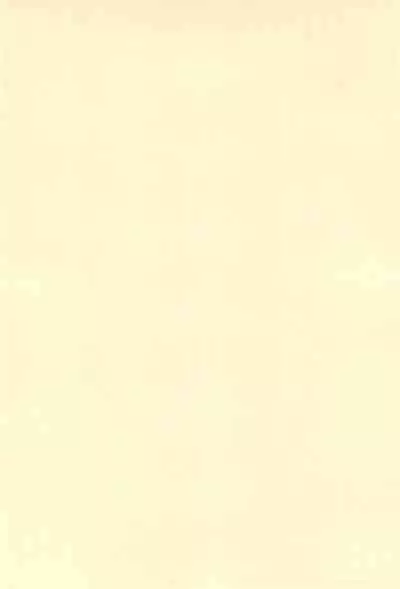 Okosama Daimyoujin 2