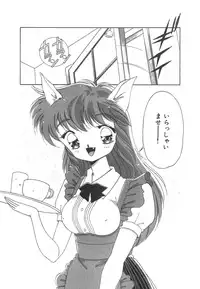 [Asai You] Nekomimi ni Onegai