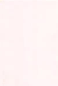 [Fujisaka Lyric] Lyrical Cute [Chinese]