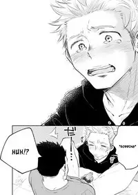 Honto ni Homo na no?