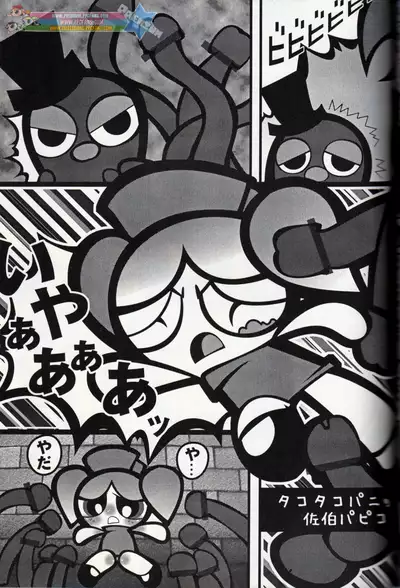 Muu Sasaki - PPG Flash