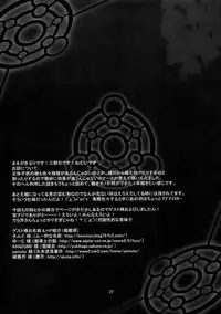 (C77) [MegaSoundOrchestra (Sanwaribiki)] Nue no Mau Yoru (Touhou Project) [English] =LWB=