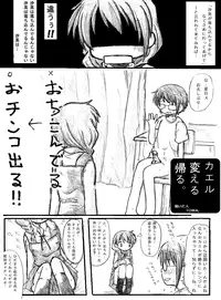 [TOWA.] "Shin" Kaeru Kaeru Kaeru. (Hidamari Sketch)