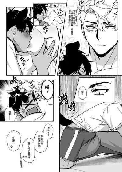 貓狗事變