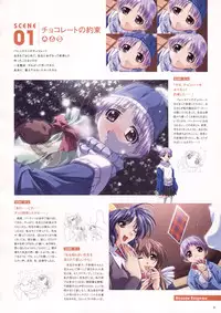 Natural 2 Duo Visual Fan Book