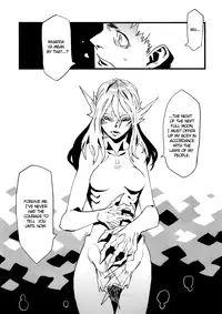 [Niku Drill (Toumasu)] Jingai Shunman Se no Sho [English] [Anonygoo] [2012-05-20]