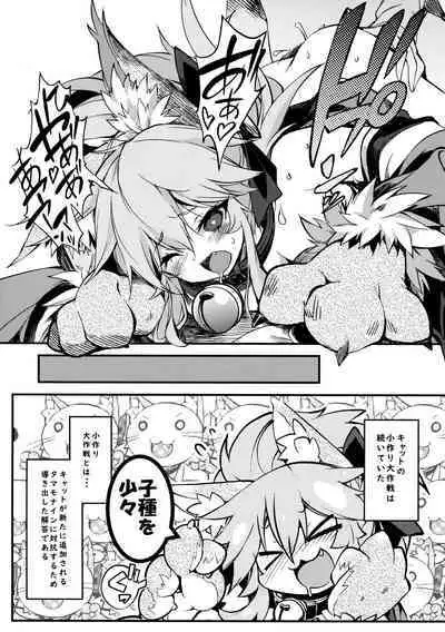 Cat-chan Pakopako Tanetsuke Seikatsu