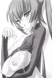 (CR33) [STUDIO HUAN (Raidon)] Muvmuv (Muv-Luv)