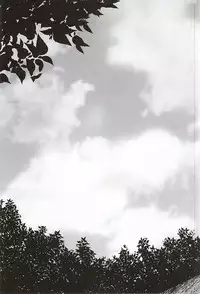 (SUPER24) [Bamboo Ring! (Isobe)] Dandelion (K)