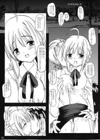 (C66) [BABYBED (SAS)] WILD WILD SUMMER (Fate/stay night)