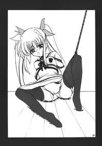 [Thirty Saver Street 2D Shooting] Storage Ignition 3 (Mahou Shoujo Lyrical Nanoha / Magical Girl Lyrical Nanoha)